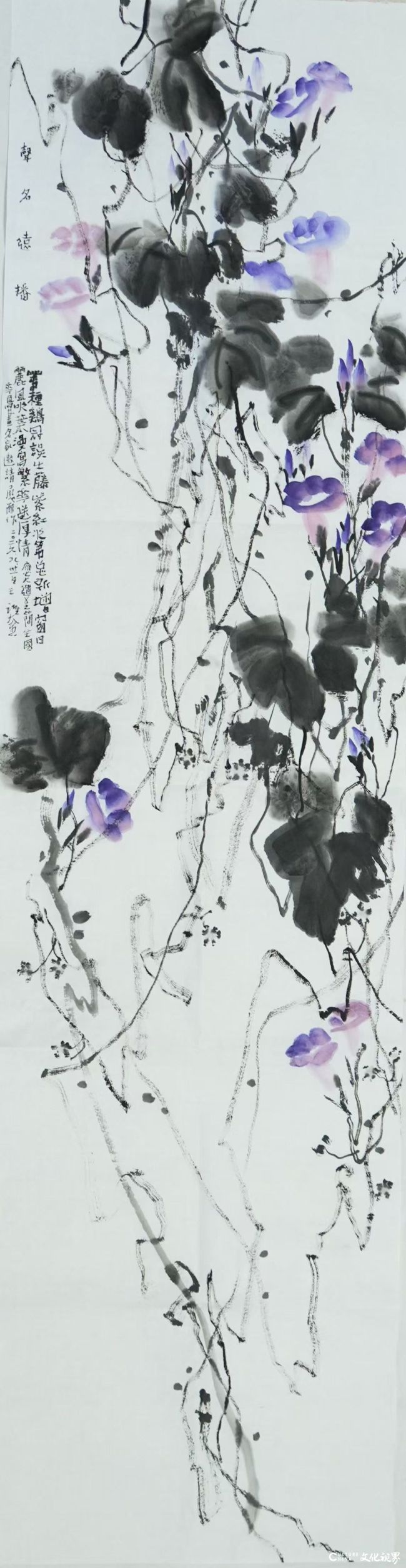20260911113147761109.jpg 微信图片_20260911091500_3810_2.jpg