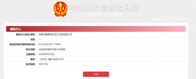 淄博高青县鲁青城市资产运营有限公司成被执行人,执行标的3025750 元
