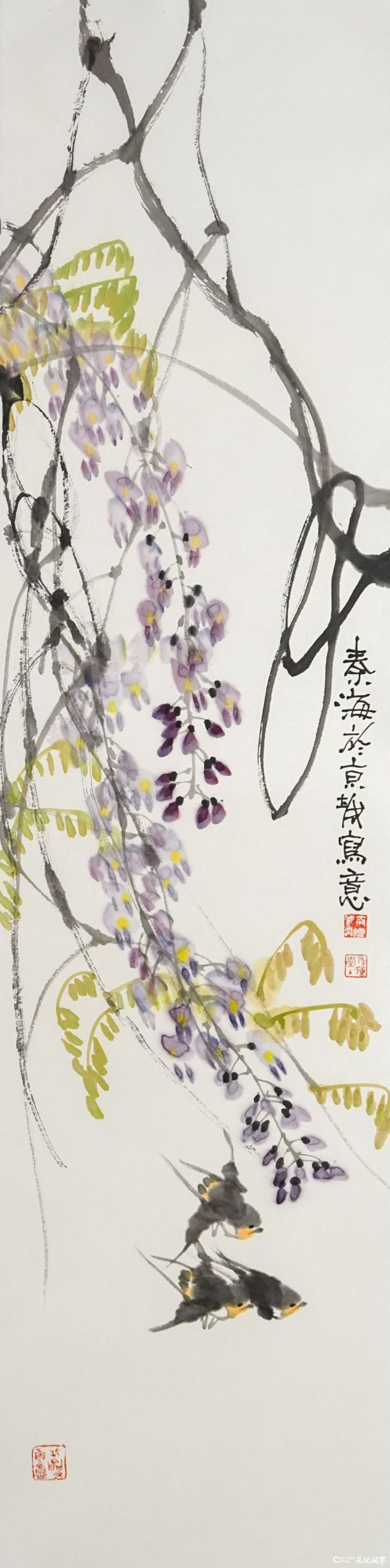 秦海.JPG