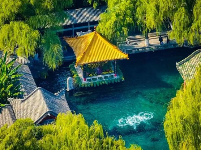 看济南版的《万“才”图录传》