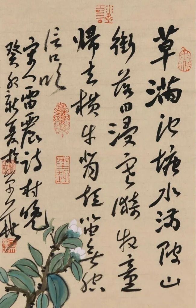 图片