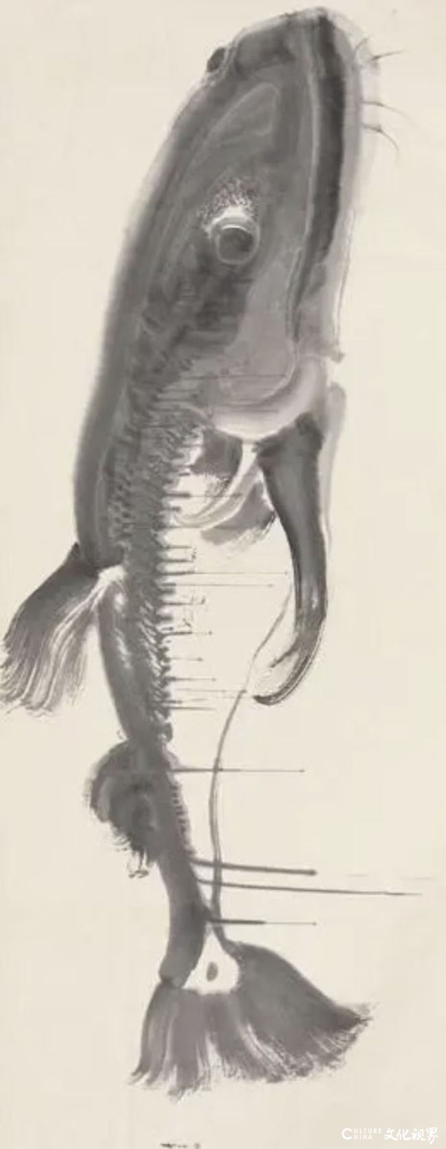 20261013121409112786.jpg 13.jpg