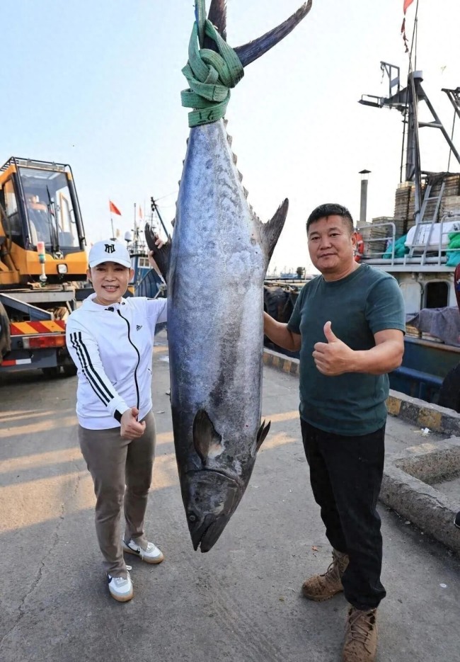 日照捕获268斤“鲅鱼王”，体长2.46米：已被当地海鲜水饺工厂收购，计划做成标本展览