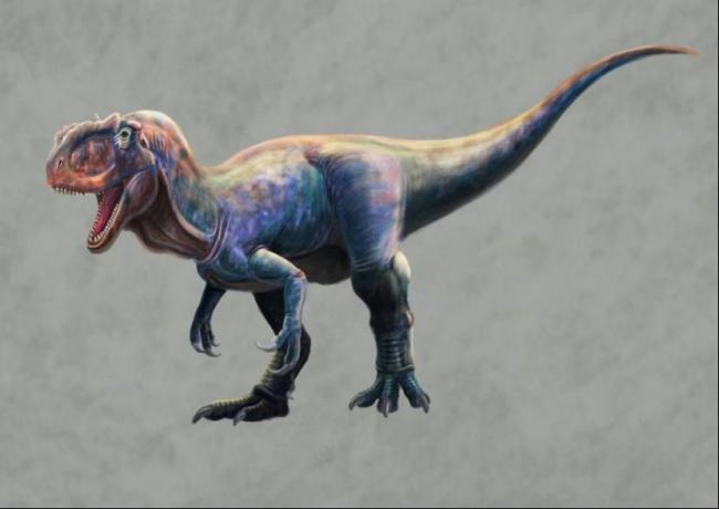 推测肉食性恐龙体长可达8米
