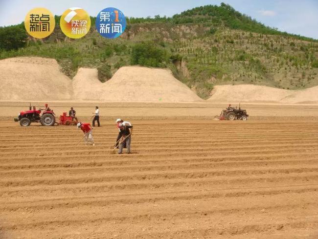 陕西1亿元激励100个耕地保护优秀乡镇