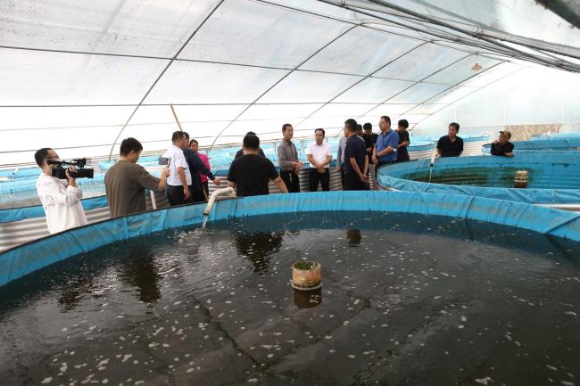 “秦”劳富“渔”看西安  |   鄠邑区利用水产养殖新模式实现特种水产增产增效