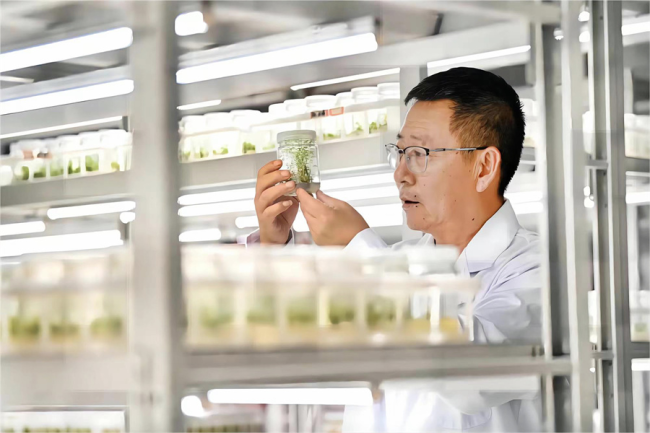 张应龙:用科技唤醒生态的自我生命力