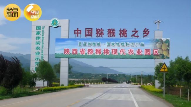宝鸡眉县猕猴桃地理标志品牌价值喜获161.37亿元
