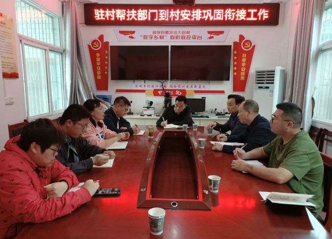 镇坪县委统战部、中国电信镇坪分公司到村指导巩固衔接工作