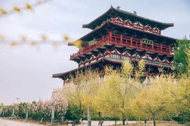 ���ȥ�Ķ��棿���彧��������С�ǡ�Լ������