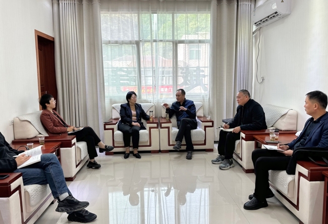 镇坪县委常委、统战部部长李俊到上竹镇督导招商引资推介谋划工作