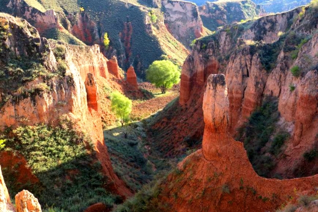 陕西佳县:绮丽多姿“红土林”,惊艳!