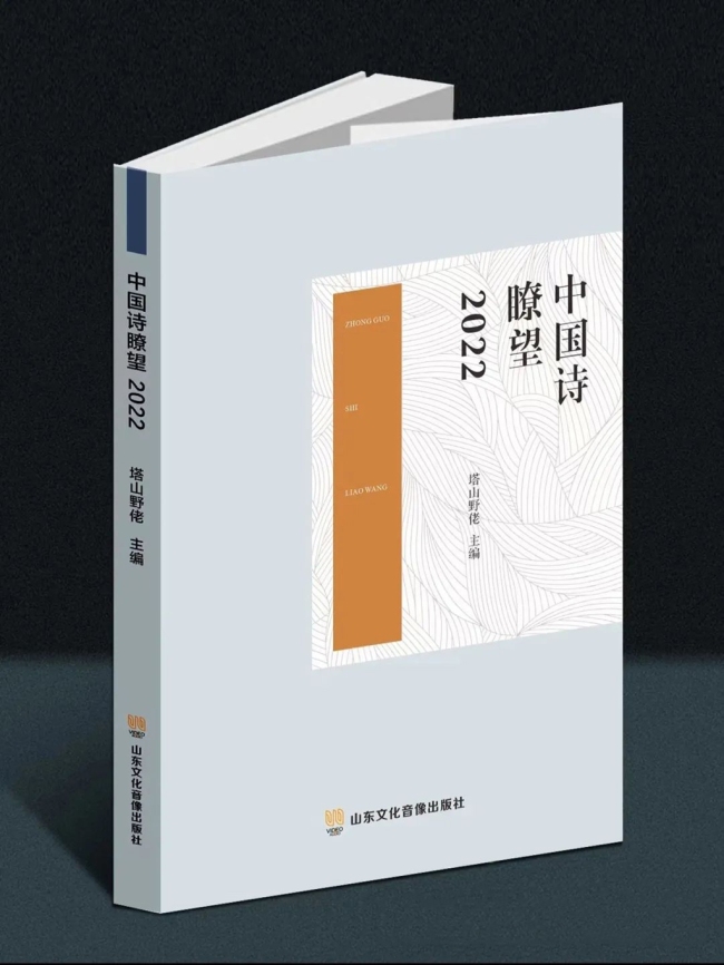 《中国诗瞭望2022》出版