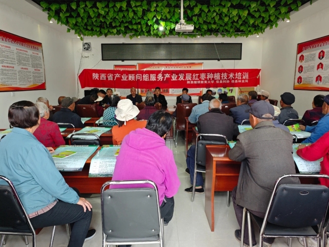 陕西佳县组织开展枣树丰产栽培技术培训会