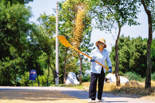 丰收的乐章