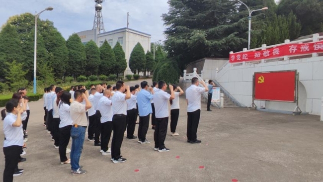 眉县槐芽镇开展“学条例 明纪律 强党性”主题党日活动