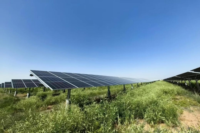 陕煤定边新能源公司:播种“文明花” 汇聚正能量