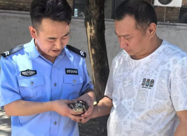 陕西佳县：携手救助国家二级保护动物虎斑地鸫