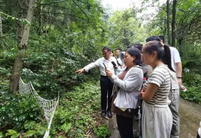 眉县中医医院开展“趣味研学旅 传承中药情”走进秦岭珍稀药材抚育基地研学活动