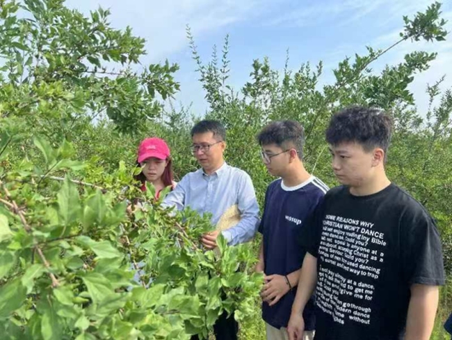 陕西科技大学大学生实践团在铜川乡村沾“泥土气”