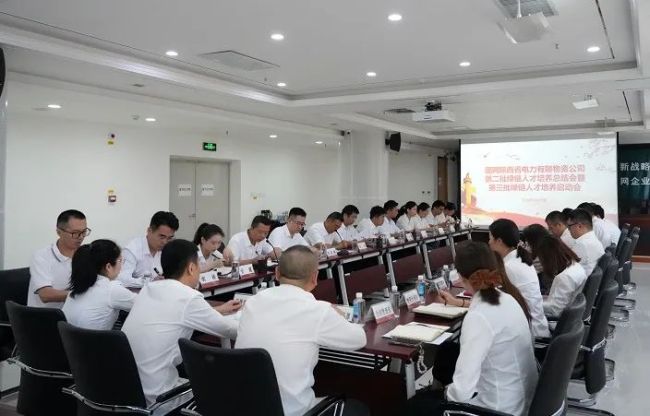 国网陕西物资公司:开展绿链体系第二批人才培养总结暨第三批人才培养启动活动