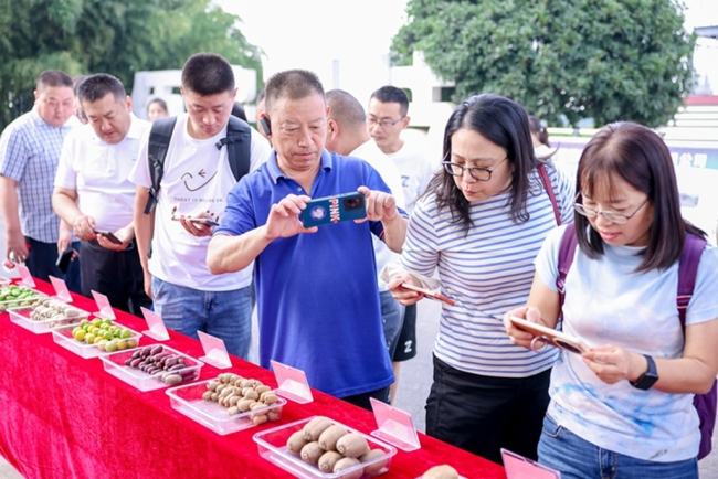 全民庆丰收 周至县举行2024年农民丰收节暨国际猕猴桃文化节庆祝活动