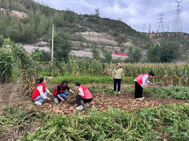 神木市红柠社区：网格员助农秋收忙 贴心服务显担当