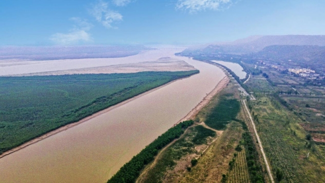 潼关黄河湿地：向绿而行 擦亮高质量发展生态底色