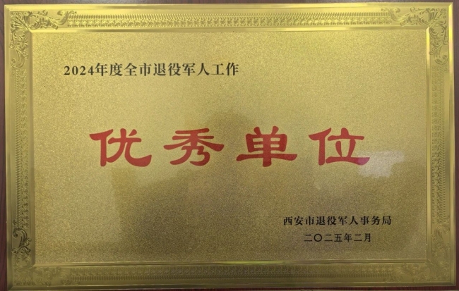 碑林区退役军人事务局荣获“2024年度全市退役军人工作优秀单位”