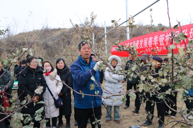 陕西佳县开展山地苹果高质量发春季管护提升培训会