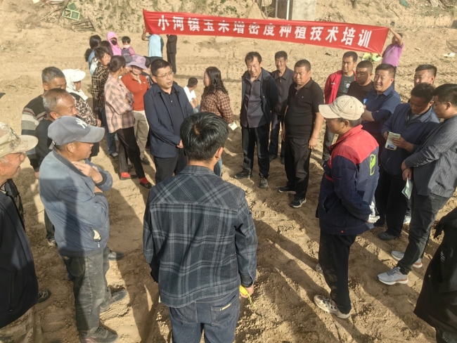 陕西靖边县小河镇：“五一”劳动节 科技兴农正当时