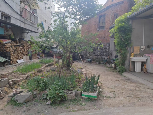 石泉县后柳镇：“擦亮”水乡底色 绘就振兴新景