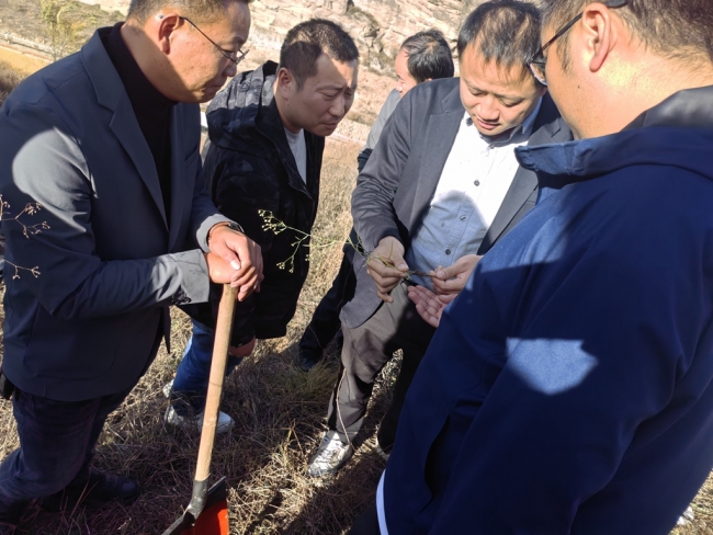 李永亮：扎根乡土守初心 深耕药田践使命