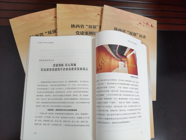 勉县：党建引领促发展 理论宣讲入“新”心