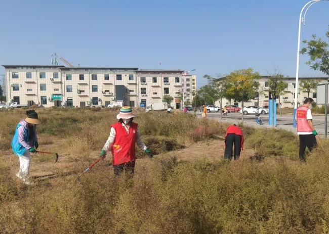 陕西神木市滨河新区街道全面开展蒿草专项清理行动