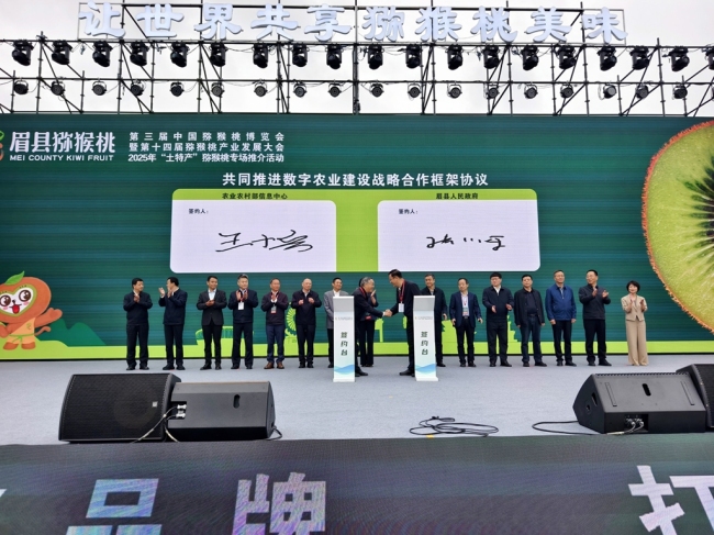 展示新成果 共绘新蓝图 第三届中国猕猴桃博览会在陕西眉县开幕