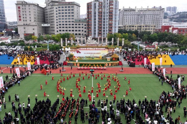 庆农业丰收 享美好生活——陕西府谷县2025中国农民丰收节侧记