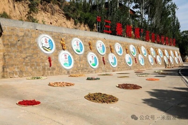 米脂县2025年中国农民丰收节暨第五届乡村文化艺术节在高西沟村举办