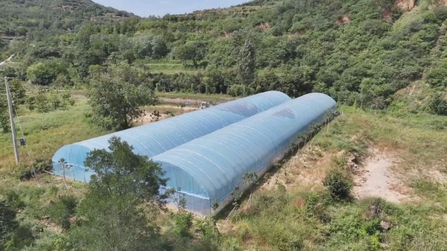 铜川耀州:罗氏沼虾喜获丰收 特色养殖拓宽致富路