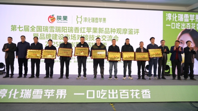 陕西水果网络特色季在淳化举行 聚焦"三瑞"苹果新品种发展