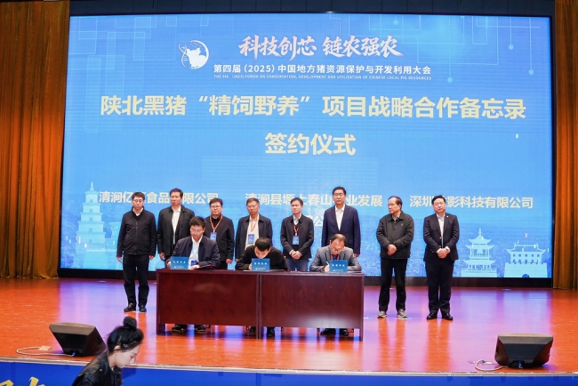 第四届中国地方猪资源保护与开发利用大会在陕西清涧开幕 共谋本土猪产业新未来