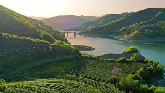 农高会上“安康日”看安康馆