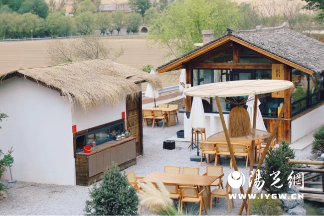 稻浪伴乐声 好物助振兴 榆阳区青云镇尤家湾兰若坊•柿子树下稻田音乐季燃动陕北深秋