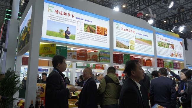 农高会圆满收官 陕西靖边县农业交出亮眼答卷