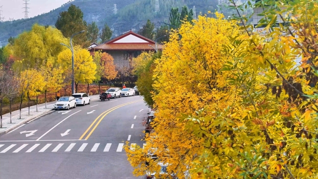 陕西神木滨河新区秋色如画 邂逅诗意生态美景