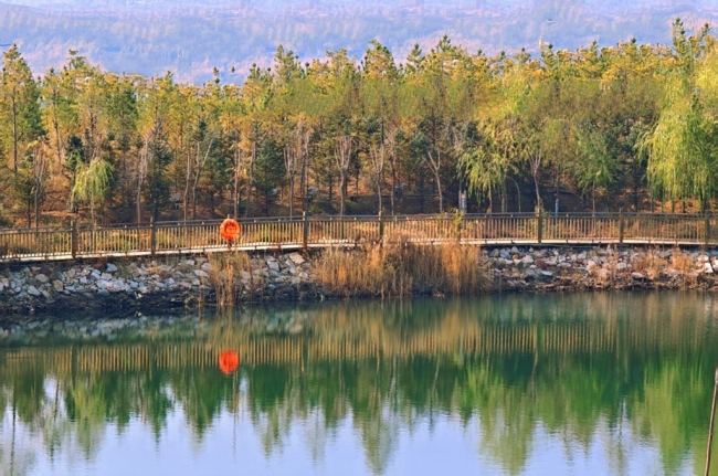 网络名人走进神木开展“绿水青山看神木”生态行活动