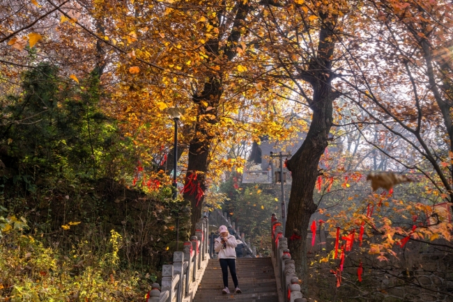 “瞰见秦岭 诗画终南”媒体景区行活动 邂逅南五台秋韵