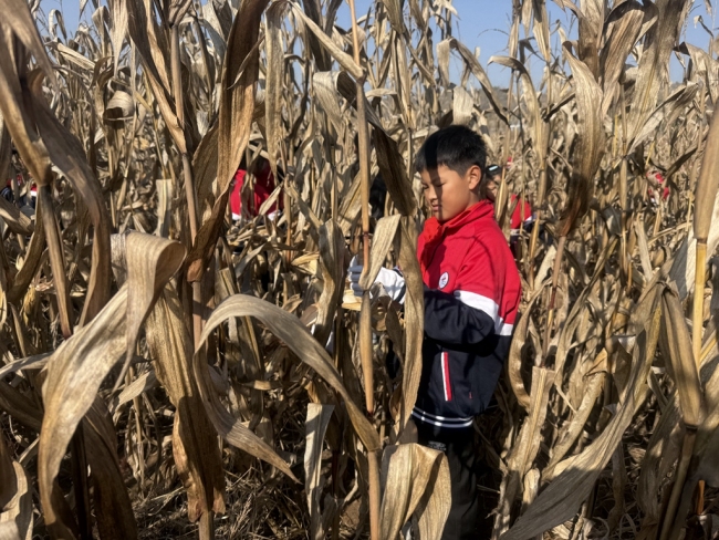 掰玉米、操控无人机——神木学子田间解锁“智慧农业”
