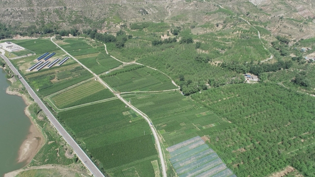 府谷沿黄石马川段山水林田湖草沙修复项目