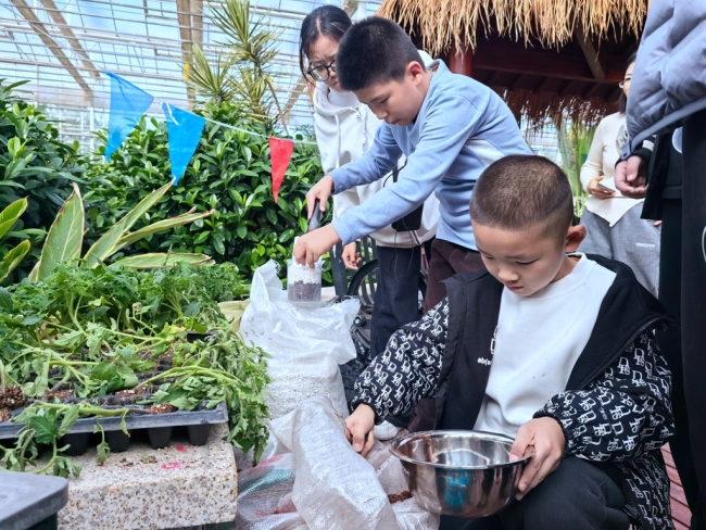 百名学子走进神木市现代农业示范园 体验沉浸式研学